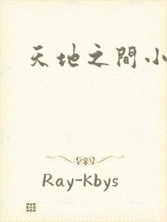天地之间小说