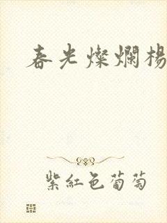 春光灿烂杨家将