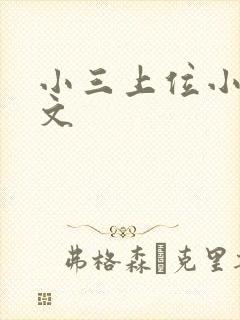 小三上位小说全文