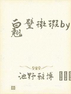 白璧微瑕by连翘