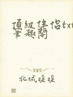 顶级伴侣txt笔趣阁