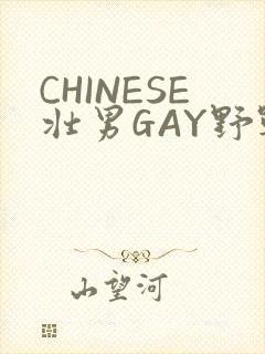 CHINESE壮男GAY野战强迫TUBE封面