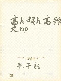 高h超h高辣h文np