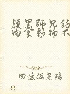 腹黑师兄的日常肉食动物不食草