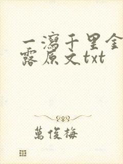 一泻千里金银花露原文txt封面