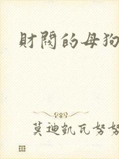 财阀的母狗们封面