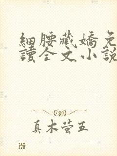 细腰藏娇免费阅读全文小说苏珞浅