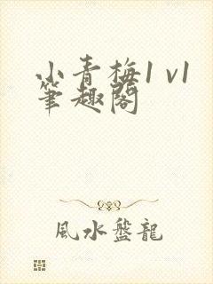 小青梅1 v1笔趣阁