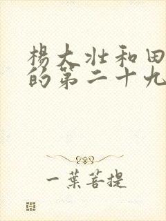 杨大壮和田桂花的第二十九