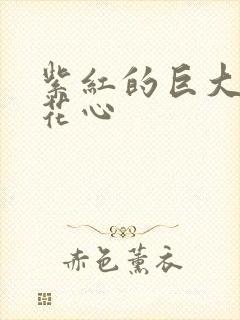 紫红的巨大顶开花心