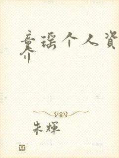 童瑶个人资料简介