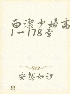 白洁少妇高义第1一178章封面