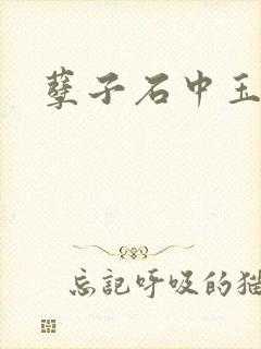 孽子石中玉