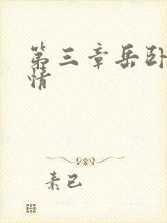 第三章岳卧室激情