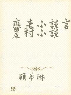 恋老小说言情网农村小说