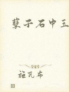 孽子石中玉