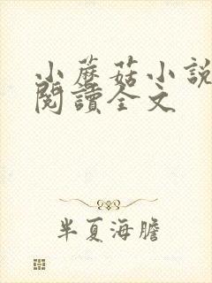 小蘑菇小说免费阅读全文