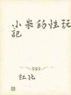 小米的性玩具日记封面