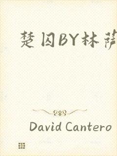 楚囚BY林萨封面