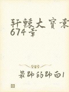 轩辕大宝袁雪妃674章