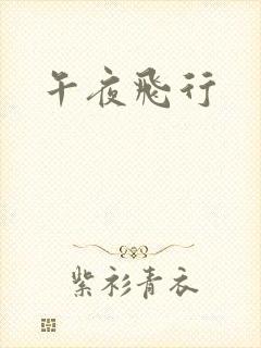 午夜飞行封面