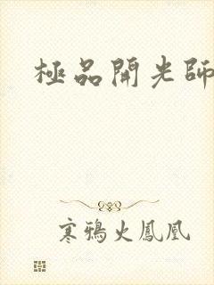 极品开光师