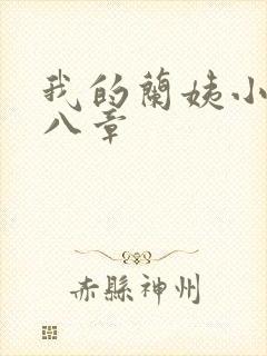 我的兰姨小说第八章封面