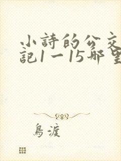 小诗的公交车日记1一15哪里能看