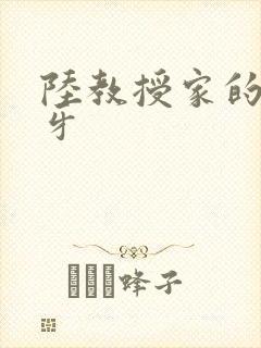 陆教授家的小月牙封面