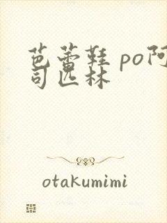 芭蕾鞋 po阿司匹林