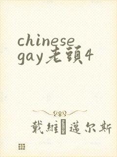 chinesegay老头4