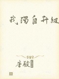我独自升级小说