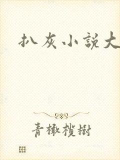 扒灰小说大全封面