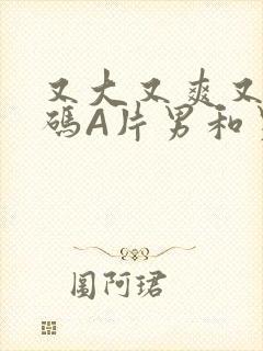 又大又爽又黄无码A片男和男封面