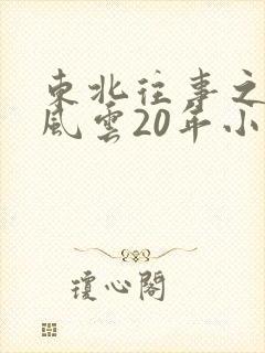 东北往事之黑道风云20年小说