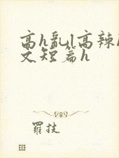 高h乱l高辣h文短篇h封面