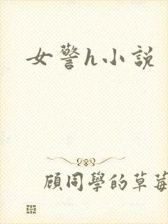 女警h小说