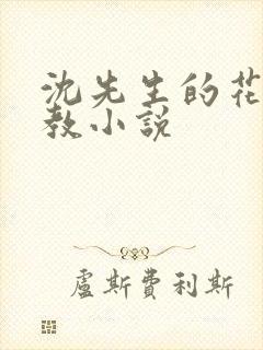 沈先生的花式管教小说