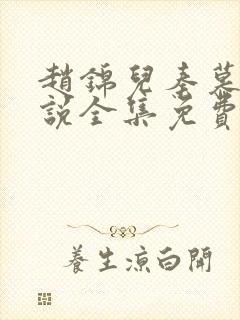 赵锦儿秦慕修小说全集免费