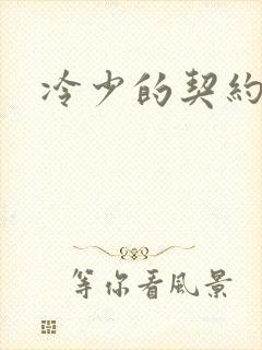 冷少的契约囚奴