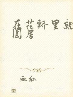 在花轿里就开始圆房