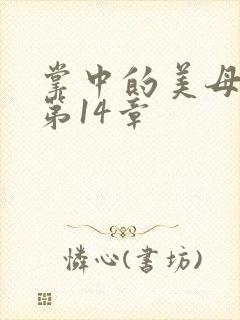 掌中的美母版主第14章