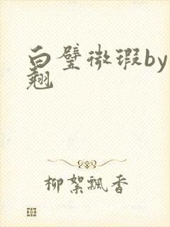 白璧微瑕by连翘封面