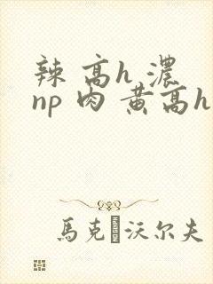 辣 高h 浓 np 肉 黄高h