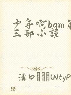 少年啊bgm第三部小说