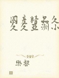 国产精品久久久久久亚洲小说