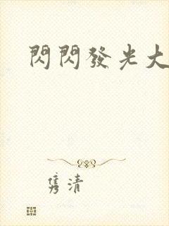 闪闪发光大团结封面