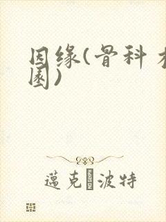 因缘(骨科 校园)