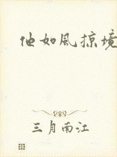 他如风掠境封面