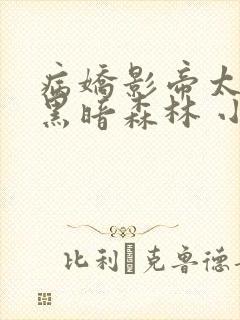 病娇影帝太撩人黑暗森林 小说全文免费阅读封面